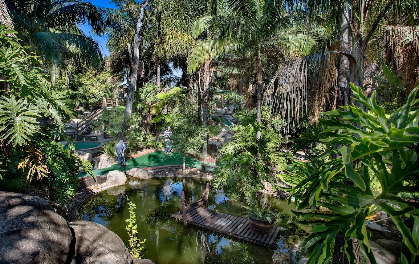 Adventure Golf - Fourways