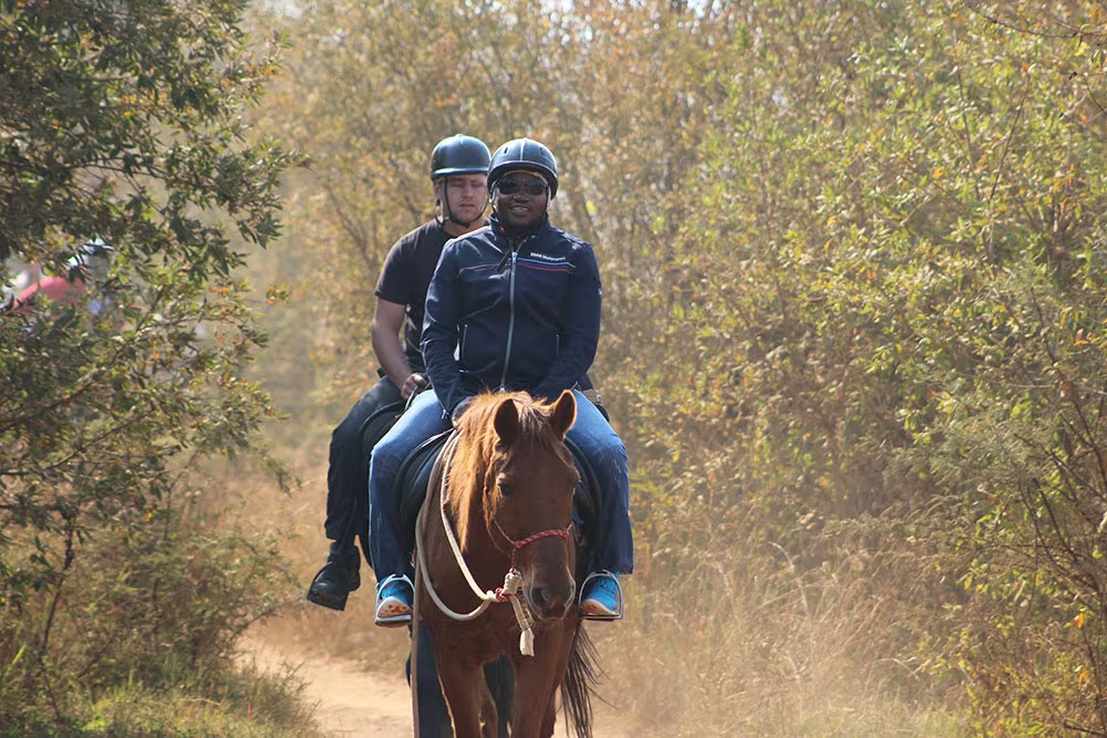 Saddle Creek Adventures - Hekpoort