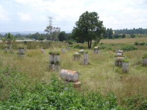 Battlezone Paintball