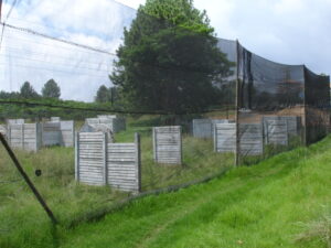 Battlezone Paintball