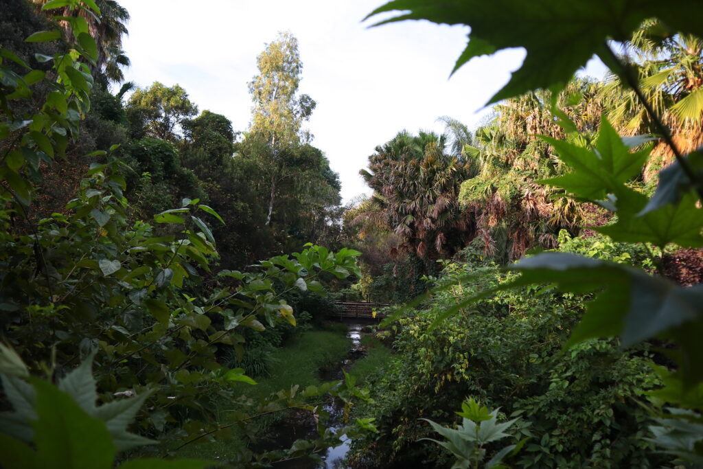 Adventure Golf - Randburg