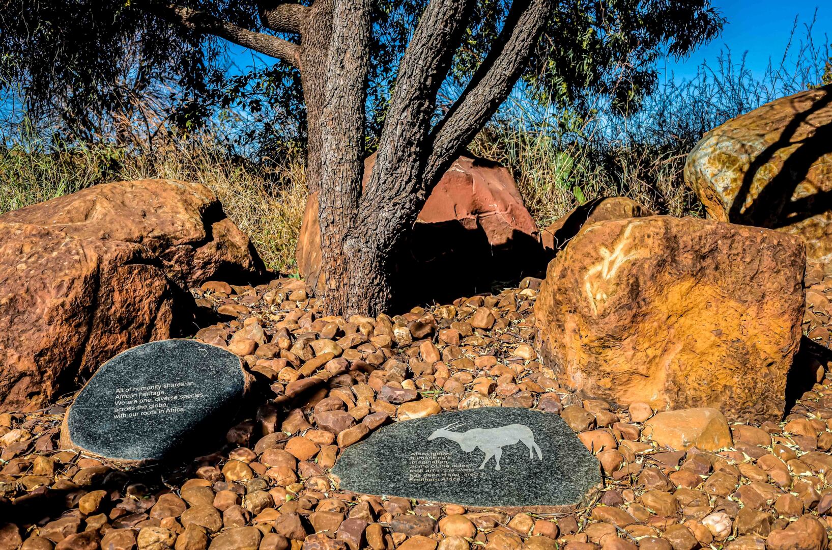 Cradle Of Humankind