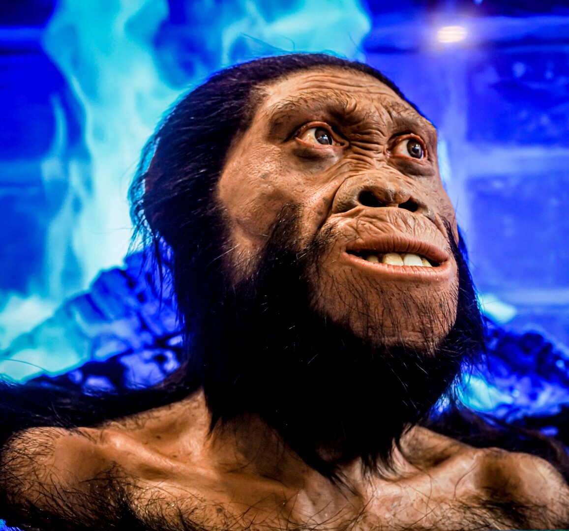 Cradle Of Humankind